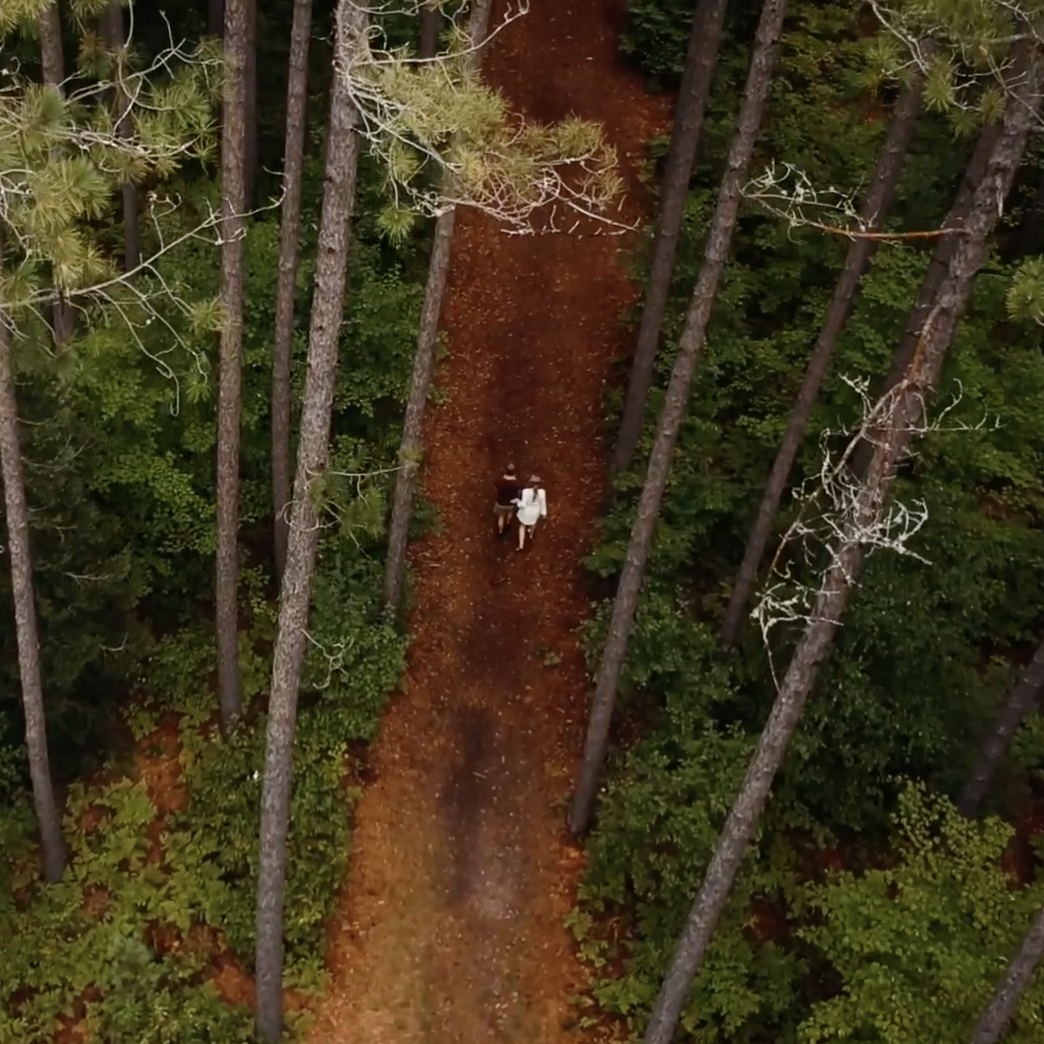 Woods